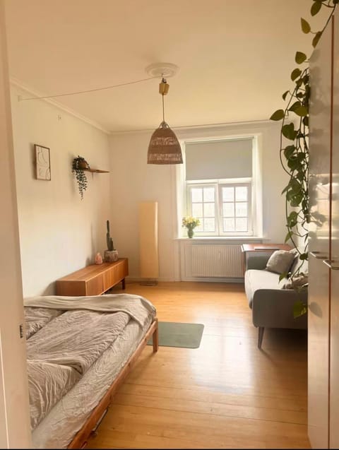 Hyggelig bolig i københavn Apartment in Copenhagen