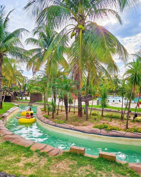 Garden, Aqua park, Swimming pool