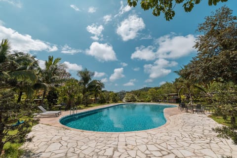 Day, Natural landscape, Garden, Pool view, Swimming pool