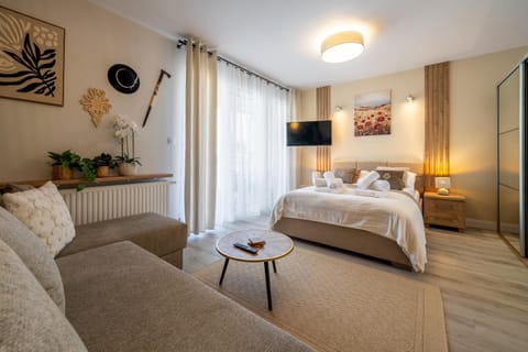 Bed, TV and multimedia, Living room, Photo of the whole room, Seating area, Bedroom