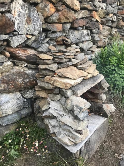 Casa Paterna in Ronco Sopra Ascona Apartment in Ascona