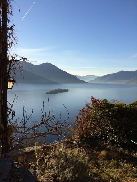 Casa Paterna in Ronco Sopra Ascona Apartment in Ascona