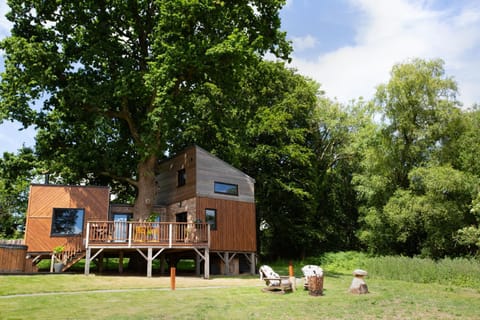 Day, Natural landscape, Garden