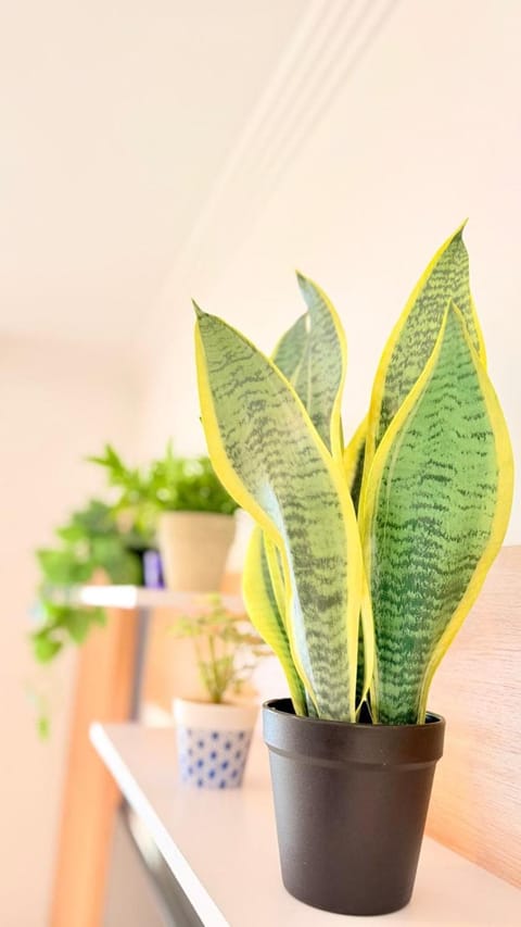 Room City Estepona M Méndez Cozy 3BR 2Bath Apartment in Estepona