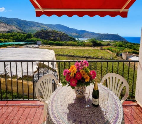 Day, Natural landscape, View (from property/room), Balcony/Terrace, Mountain view, River view