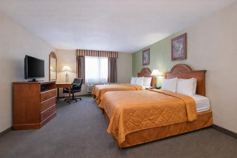 Bed, TV and multimedia, Photo of the whole room