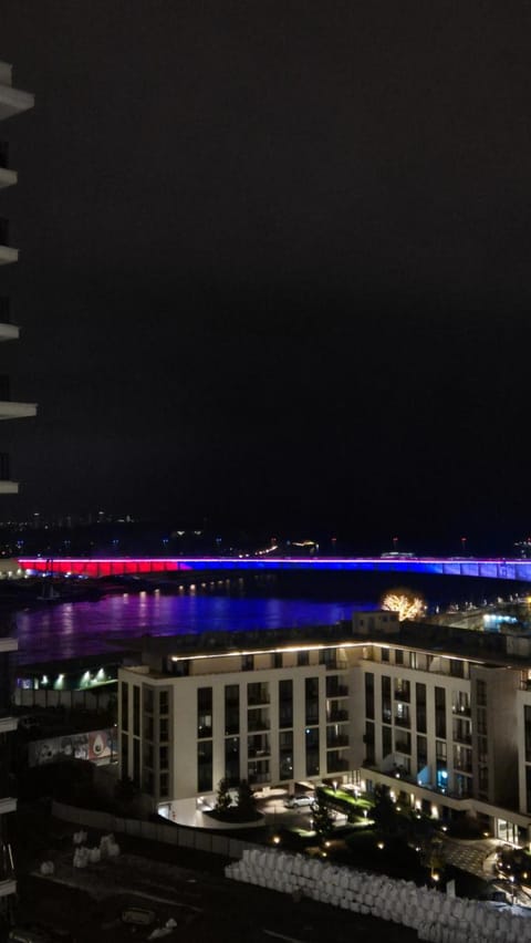 Night, City view, River view
