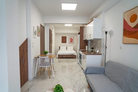 Bed, Kitchen or kitchenette, Living room, Photo of the whole room, Decorative detail, Seating area, Bedroom