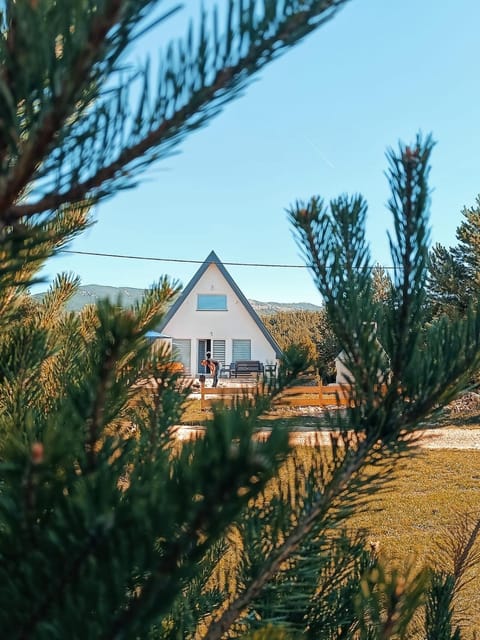 Natural landscape, Garden view
