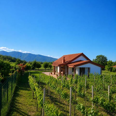 Property building, Day, Natural landscape, Garden, Garden view, Mountain view