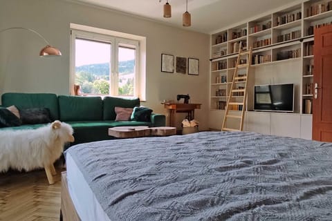 Bed, TV and multimedia, Living room, Photo of the whole room, Seating area, Bedroom