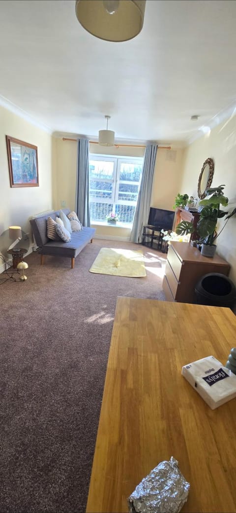 Cosy apartment tallaght Vacation rental in Dublin