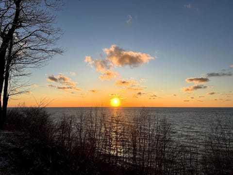 Charming Cottage w Hot Tub House in Bridgman