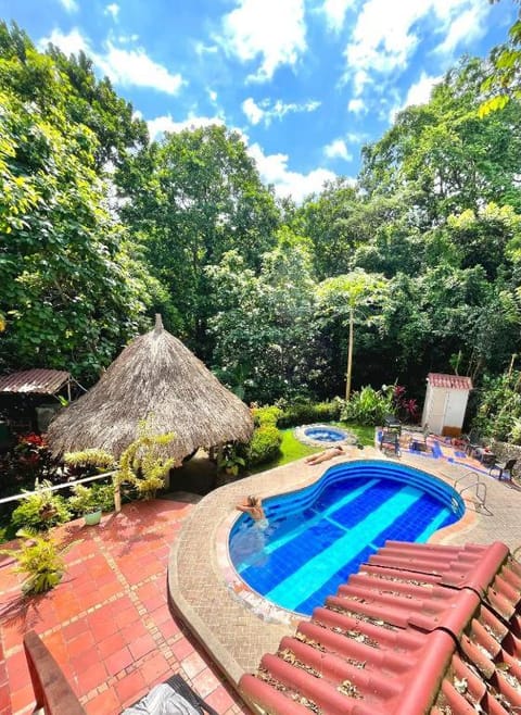 Spring, Natural landscape, Garden, Garden view, Pool view, Swimming pool