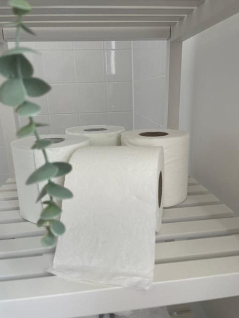 Beautiful room near airport Vacation rental in Dublin