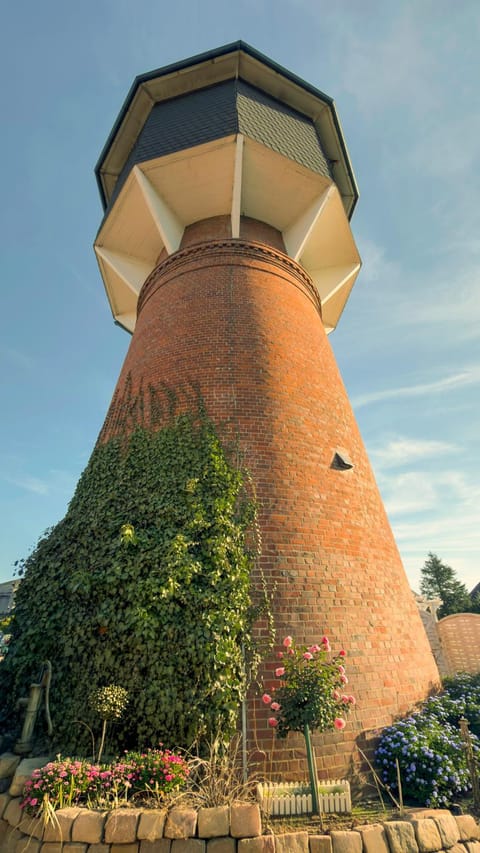 Property building, Day, Garden