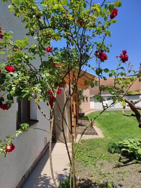 Property building, Garden, Garden