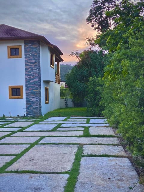 Natural landscape, Garden, Sunset