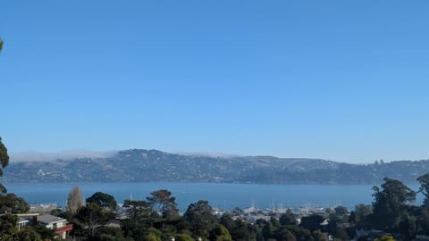 July Retreat in Sausalito with Water Views and AC House in Sausalito