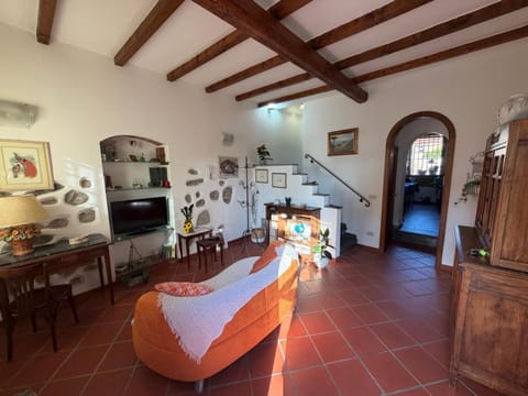 Seating area, pet friendly