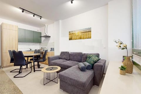 Kitchen or kitchenette, Living room, Seating area, Dining area