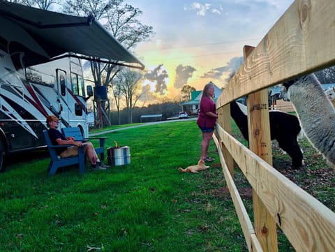 Natural landscape, Sunset, group of guests