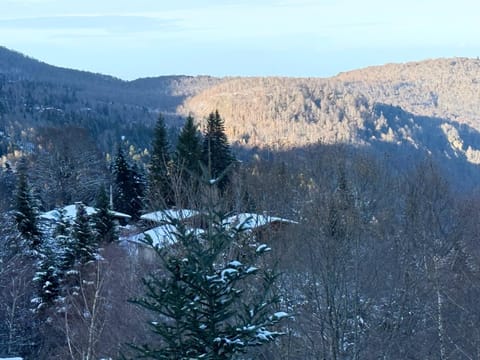 Mountain view