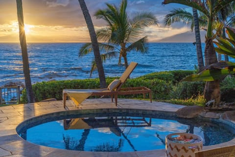 Oceanfront Paradise- A Tropical Palm Retreat House in Polo Beach