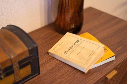 Domo Antiga, Nuovo Appartamento Nel Centro Storico Siniscola Apartment in Siniscola