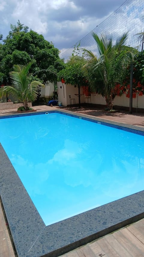 Day, Pool view, Swimming pool, Swimming pool