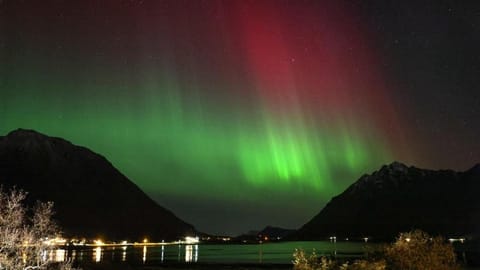 Studio apartment by fjords and mountains, pictures coming Apartment in Lofoten