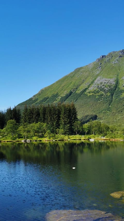 Studio apartment by fjords and mountains, pictures coming Apartment in Lofoten