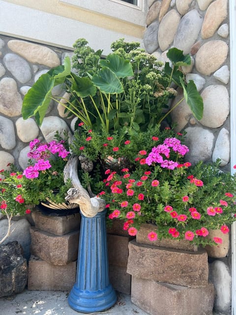 Spring, Garden, Garden view