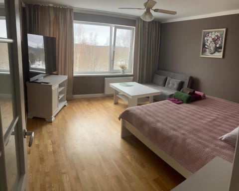 Communal lounge/ TV room, Bed, TV and multimedia, Photo of the whole room, Bedroom