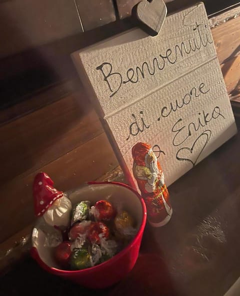 Erika Apartment in Tarvisio