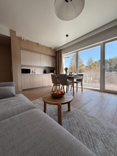 Kitchen or kitchenette, Living room, Seating area, Dining area, stove