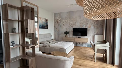 Bed, TV and multimedia, Living room, Photo of the whole room, Bedroom