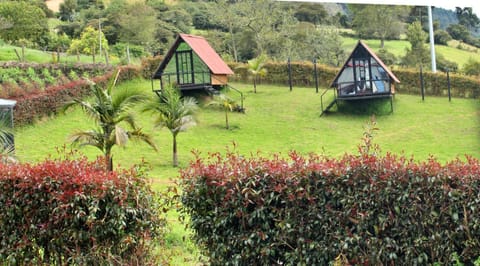 Natural landscape