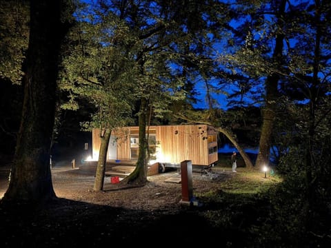 Night, Natural landscape