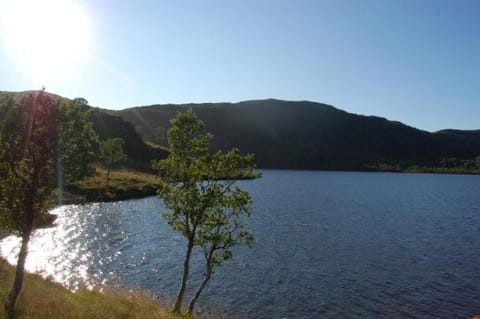 Guesthouse in Hellosan House in Lofoten