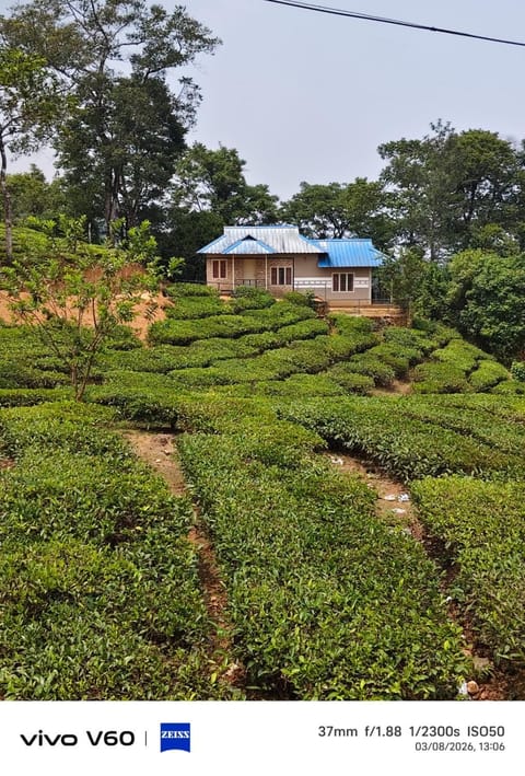 Property building, Day, Natural landscape, Garden, Garden view