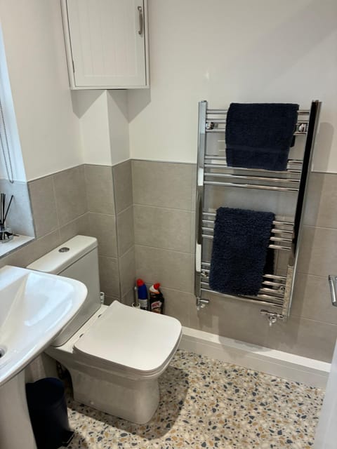 Toilet, Bathroom, towels