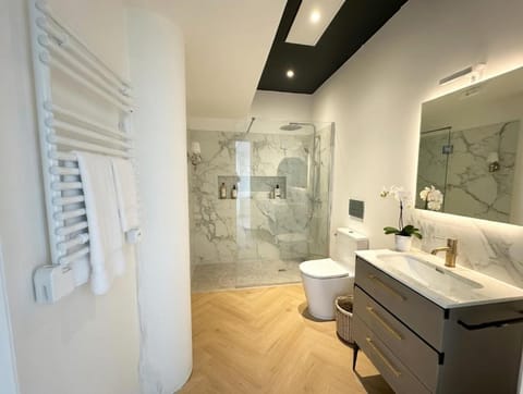 Shower, Toilet, Bathroom, towels