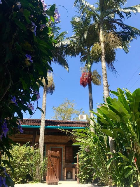 Property building, Garden, View (from property/room), Garden view