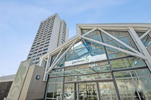 Property building, Day