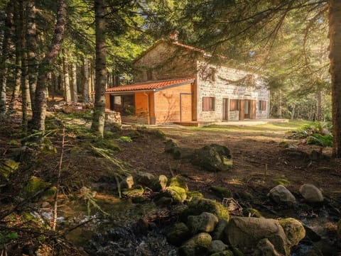 Property building, Natural landscape, Garden view