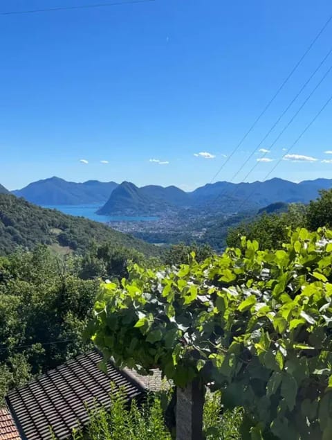 Lake view
