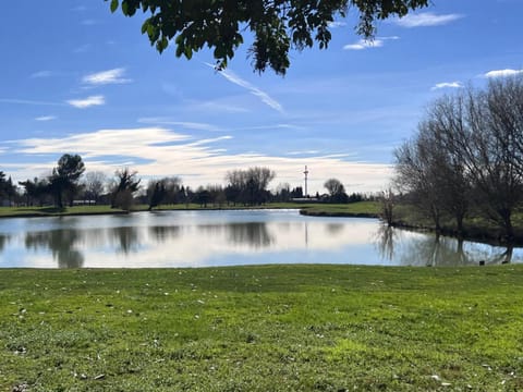 Natural landscape
