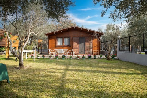 Property building, Garden, Garden view