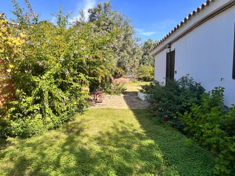 Property building, Garden view